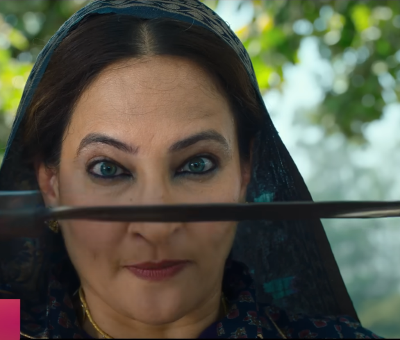 Rakshanda Khan as fierce village sarpanch in Colors TV’s Dhakkad Beera trailer – rural drama with sibling bond and emotional depth